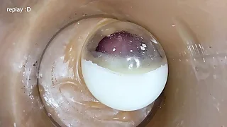 Porn Twink Free 5